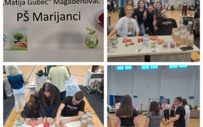 3. proljetni školski sajam Srednje škole Donji Miholjac