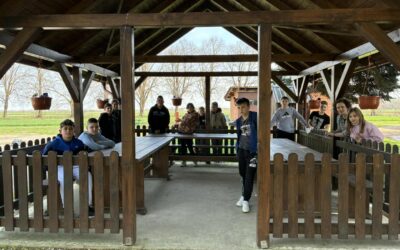 Mali koraci za zelenu budućnost – projekt u 5. razredu