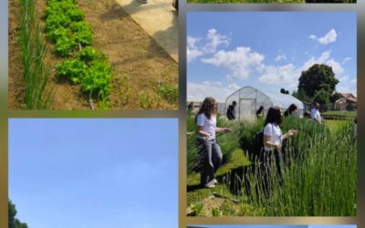 “Rastimo zajedno“ – edukativan i inspirativan dan za osmaše PŠ Marijanci
